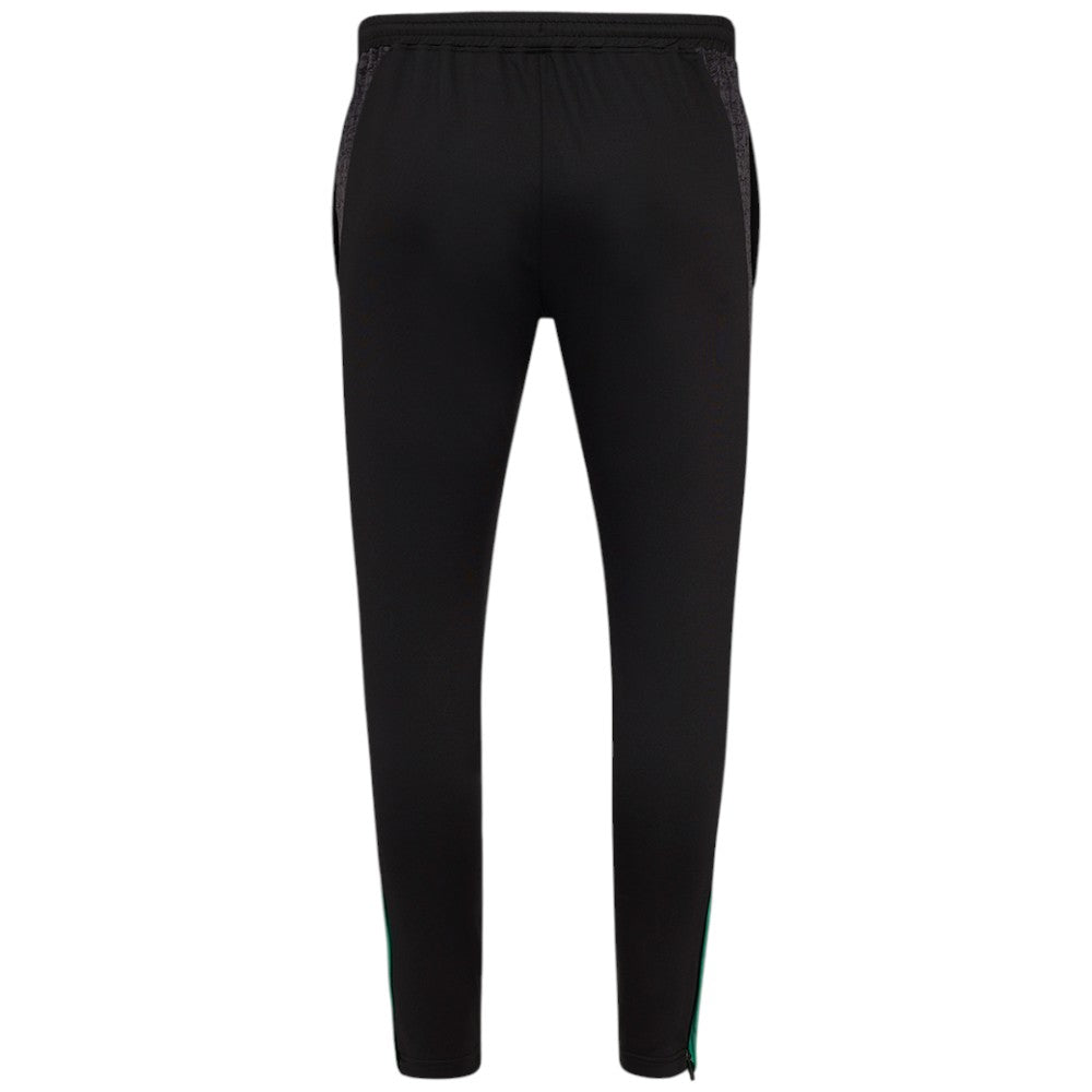 Castore FAI Ireland Football 2025/26 Mens Training Pant Back View