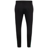 Castore FAI Ireland Football 2025/26 Mens Training Pant Back View