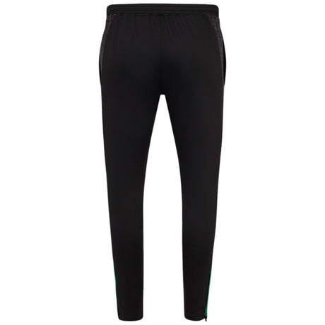 Castore FAI Ireland Football 2025/26 Mens Training Pant Back View