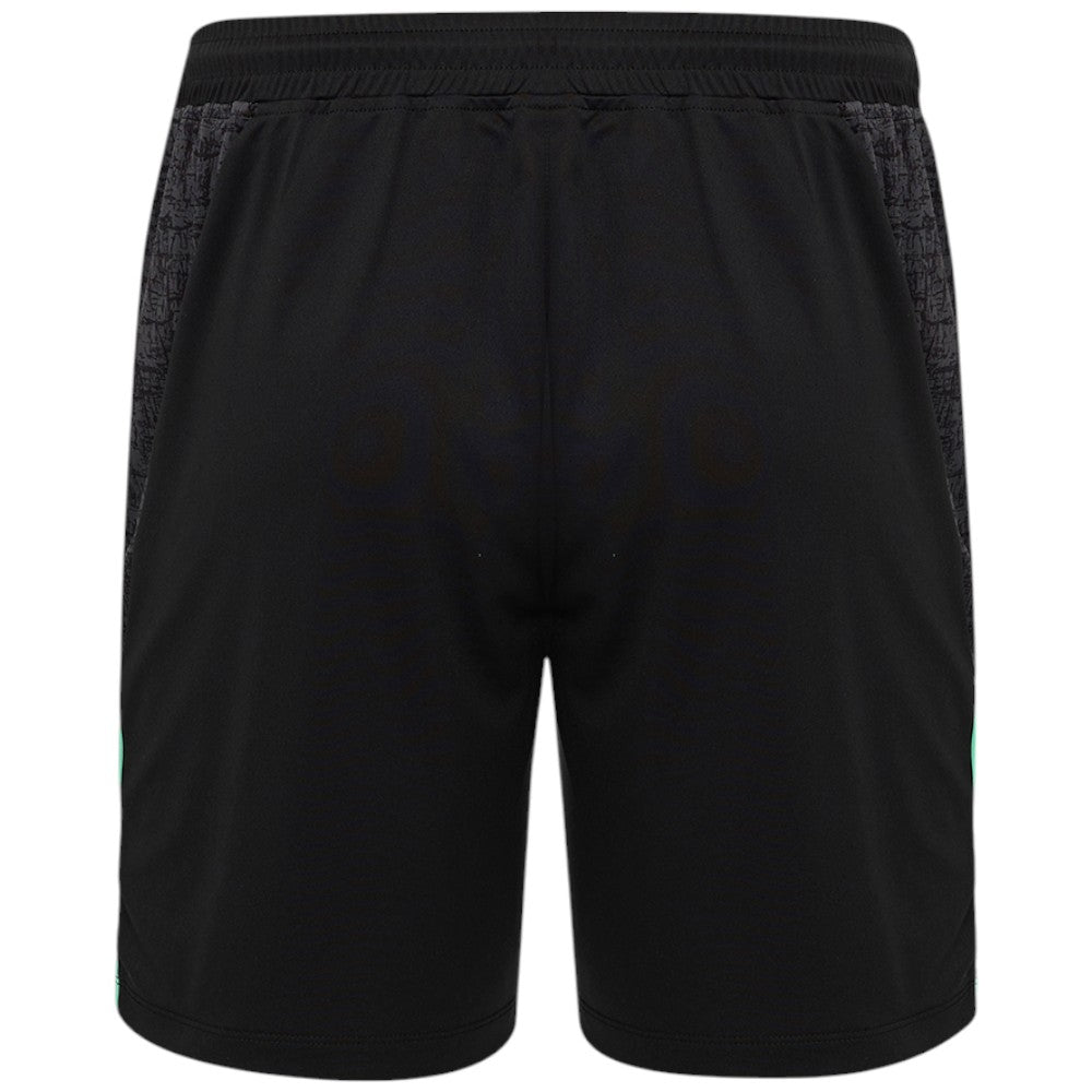 Castore FAI Ireland Football 2025/26 Mens Training Short Back View