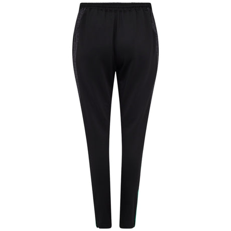 Castore FAI Ireland Football 2025/26 Kids Training Pant Back View