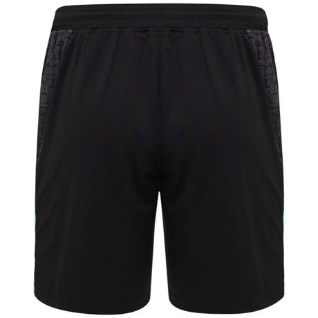 Castore FAI Ireland Football 2025/26 Kids Training Short Back View