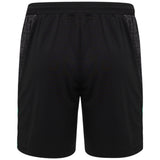 Castore FAI Ireland Football 2025/26 Womens Training Short Back View