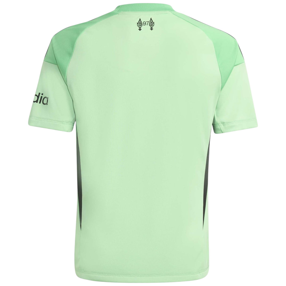 adidas Liverpool Football 2025/26 Goalkeeper Jersey