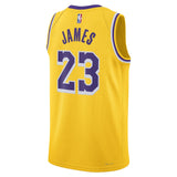 Nike Los Angeles Lakers James 23 Icon Edition Mens NBA Jersey