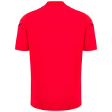Macron Welsh&nbsp;Rugby 2025/26 Mens Short Sleeved Training T-Shirt Back View