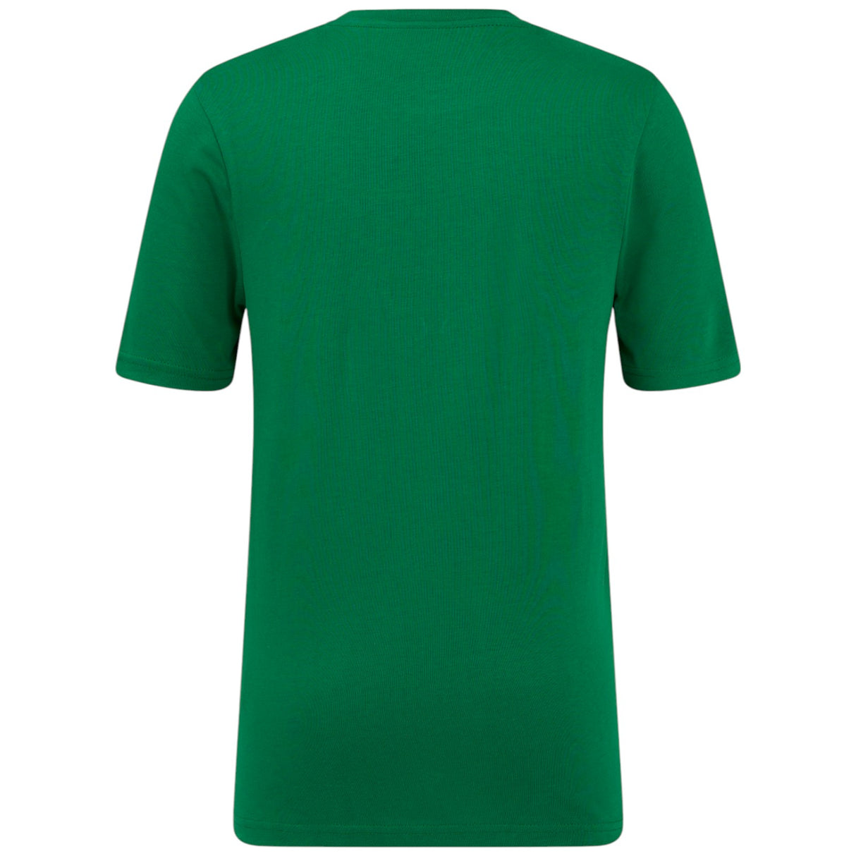 Castore FAI Ireland Football 2024/25 Kids T-Shirt
