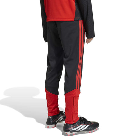 adidas Belgium Football World Cup 2026 Tiro Training Kids Pants
