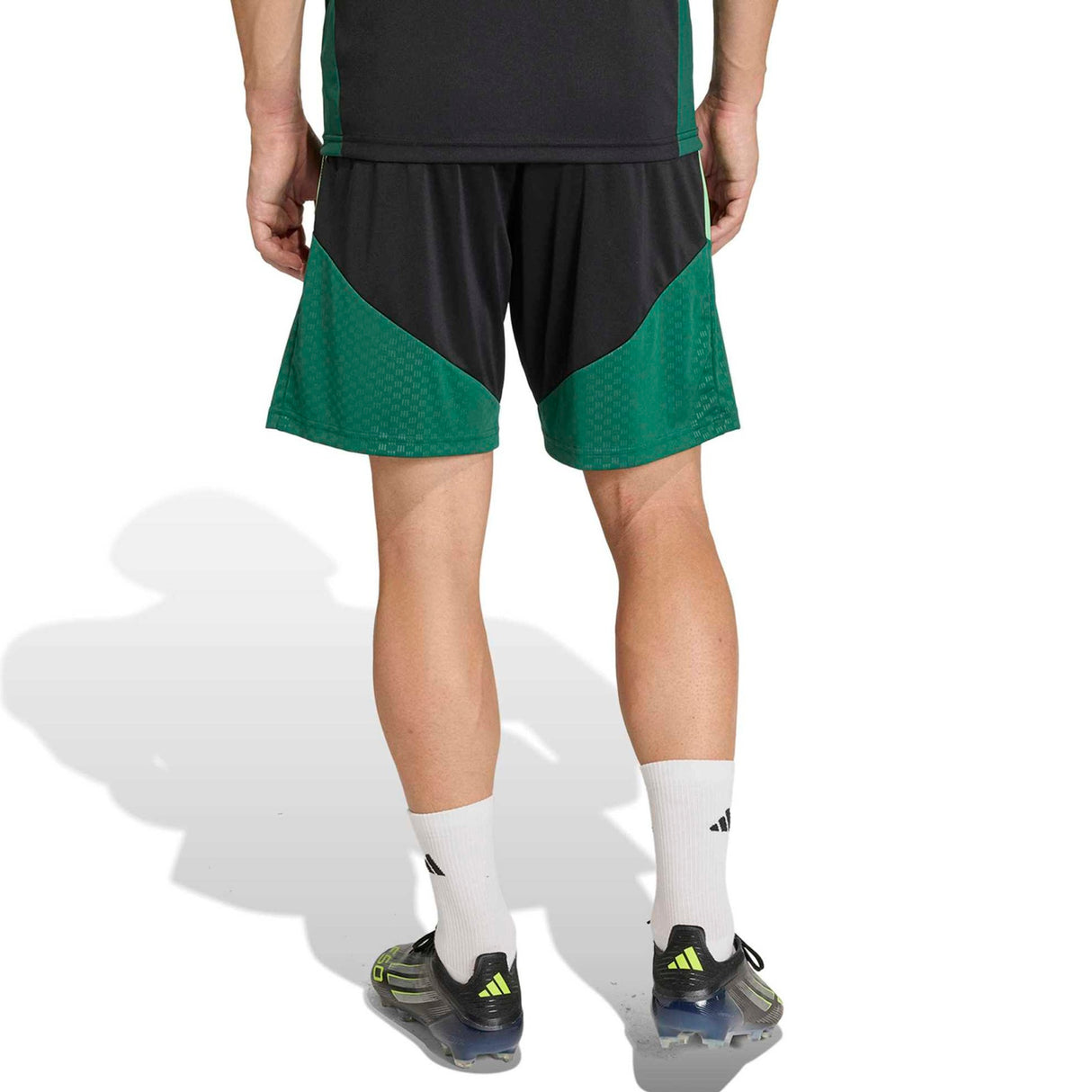 adidas Mexico Football World Cup 2026 Adults Tiro Training Shorts