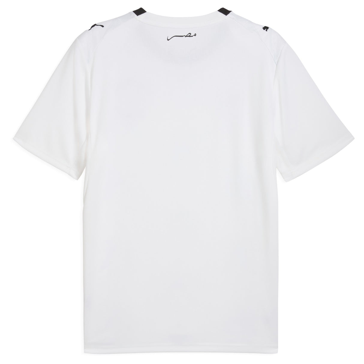 Puma Egypt Football World Cup 2026 Mens Away Jersey