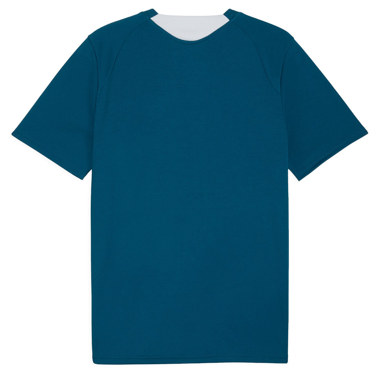Puma Portugal Football World Cup Mens Slim Training Jersey
