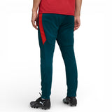 Puma Portugal Football World Cup Mens Slim Training Pants