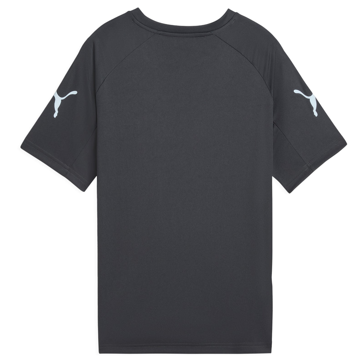 Puma IndividualLIGA Lightweight Graphic Kids Football Jersey