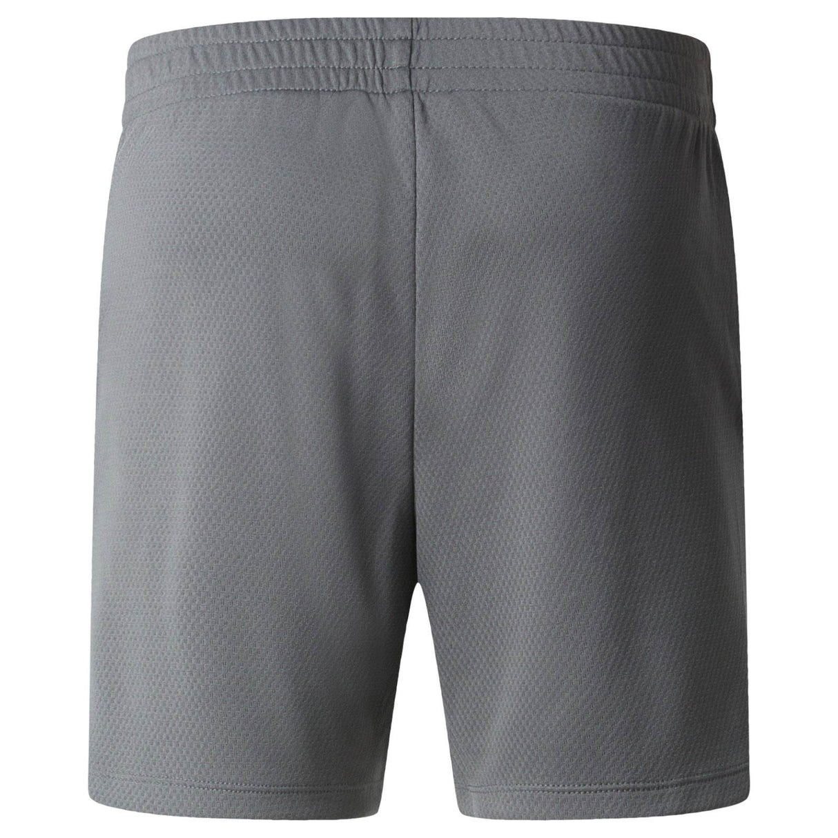 TNF TEEN Boys POLY KNIT Short Grey