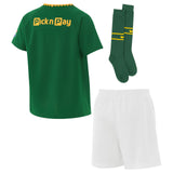 NIKE SPRINGBOKS KIDS KIT HOME Green