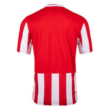 Umbro Checker Stripe Adult Short Sleeve Training Jersey