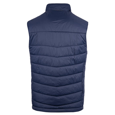 Irish Society Of Chartered Physiotherapists Adults Gilet