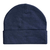 Irish Society Of Chartered Physiotherapists Adult Beanie Hat