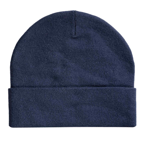 Irish Society Of Chartered Physiotherapists Adult Beanie Hat