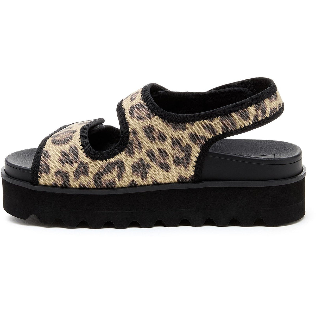 Rocket Dog Womens Balmy Dexter Sandal Tan/Black