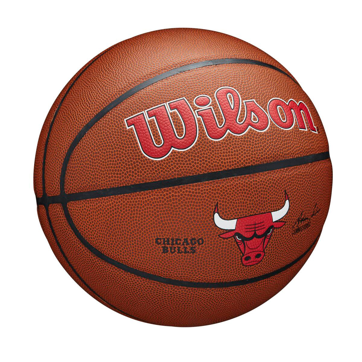Wilson NBA Composite Chicago Bulls 7
