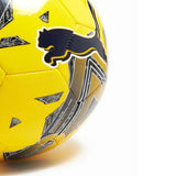 Puma Orbita 6 SPFL 2023/2024 Football