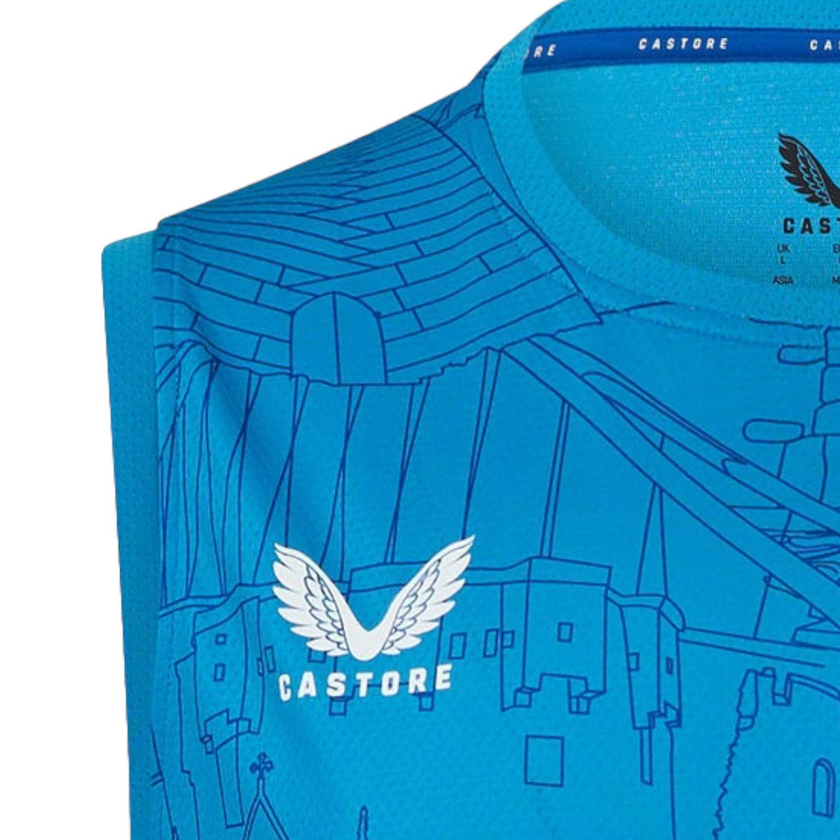 Castore Leinster 2024/25 Matchday Vest