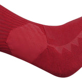Canterbury British & Irish Lions Rugby 2024/25 Training Socks 