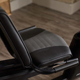 ProForm 325 CSX Recumbent Bike