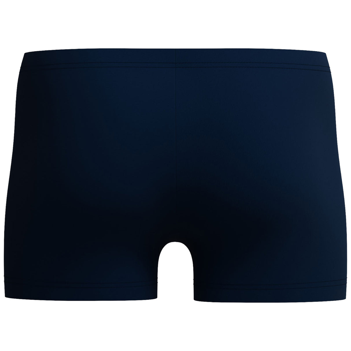 Speedo Mens Medley Logo Aquashort