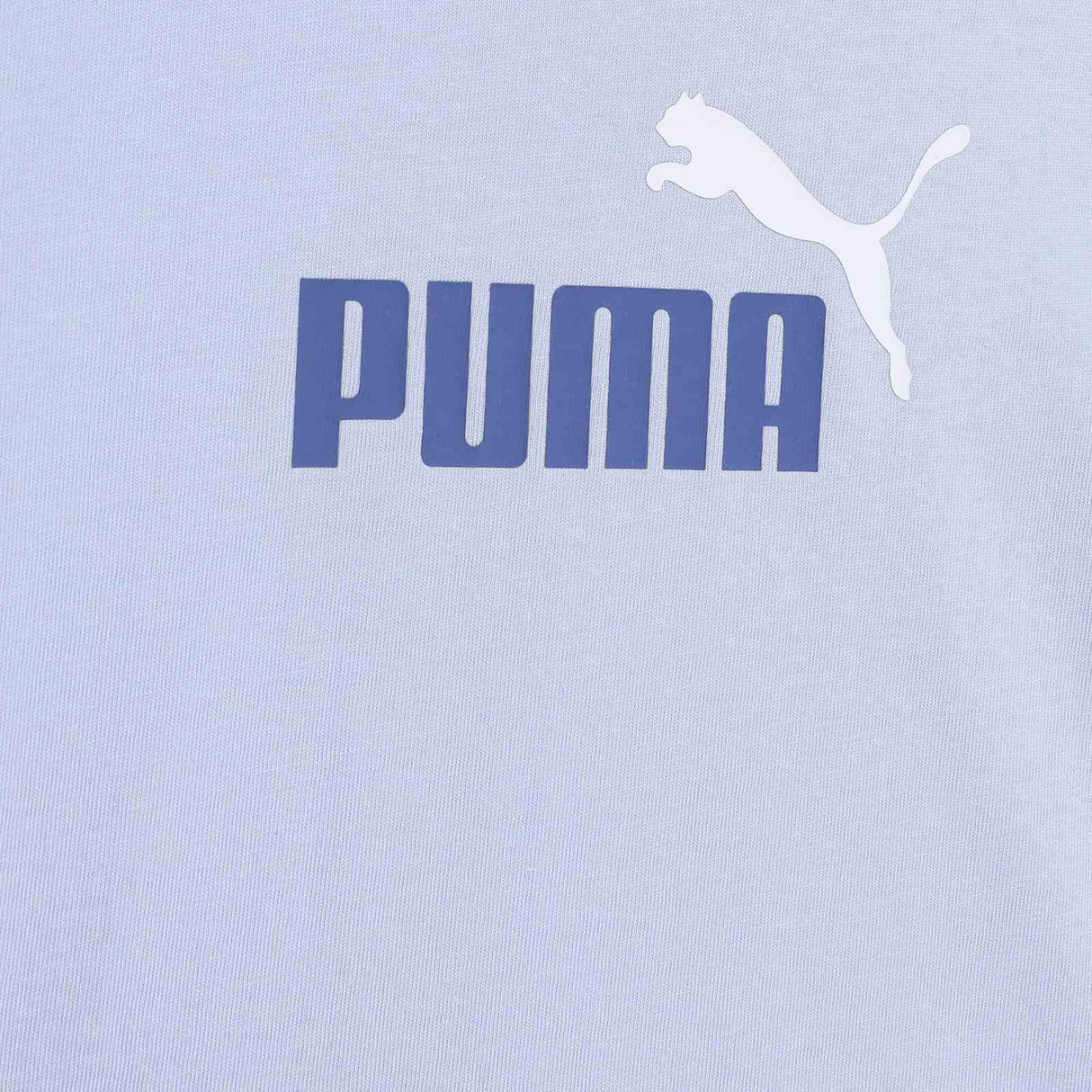 Puma Minicats Essentials 2-Piece Regular Fit Infant Set