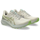 Asics GT-1000 13 Mens Running Shoes