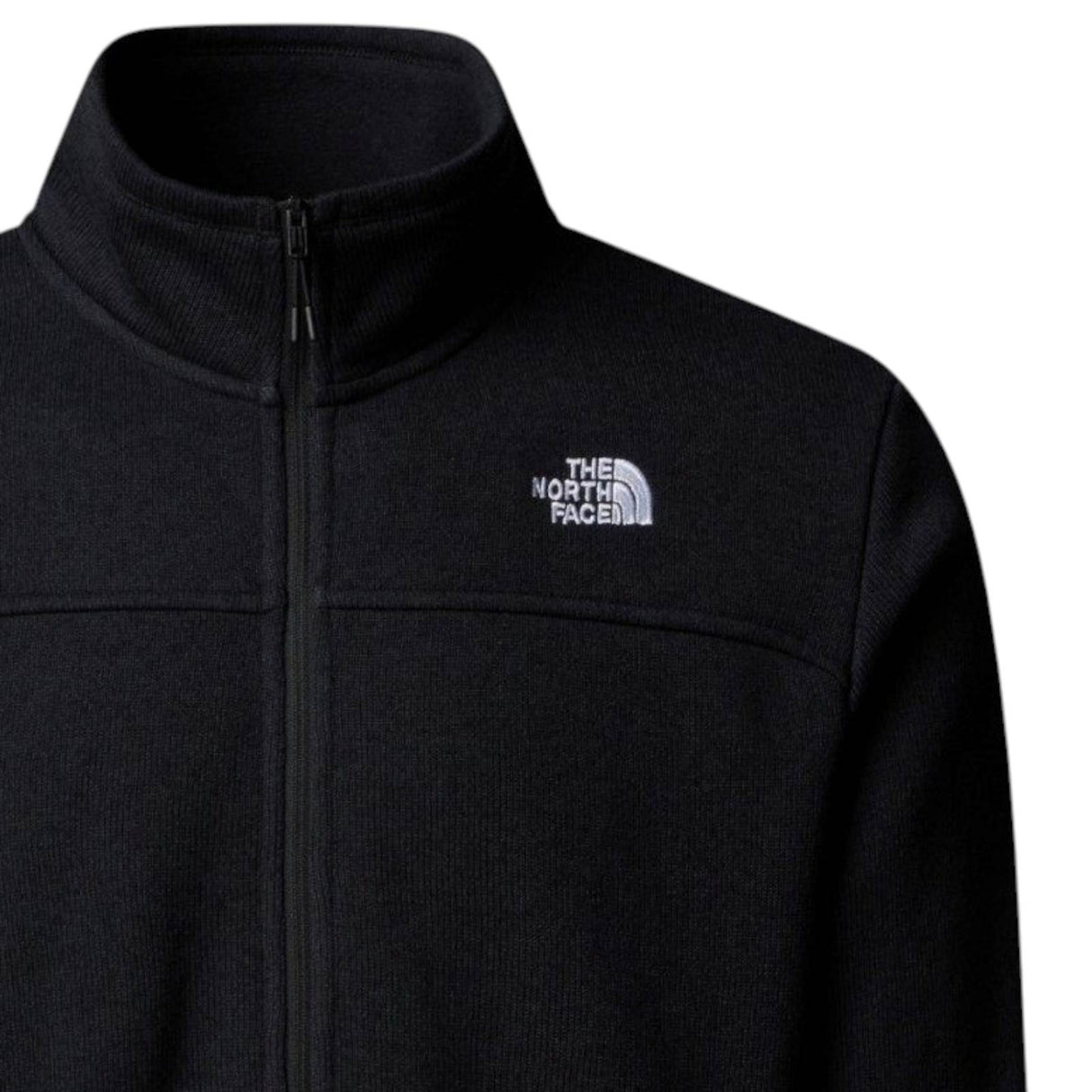 TNF M ANTISANA FLEECE Black
