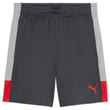 Puma Mens IndividualLIGA Trng Short Grey
