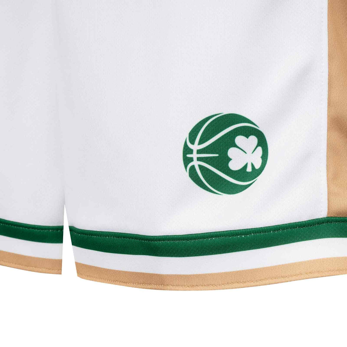 Nike Basketball Ireland 26 Aw Short Wte