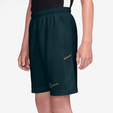 Nike Boys DF ACD25 Shorts KP 7In Green