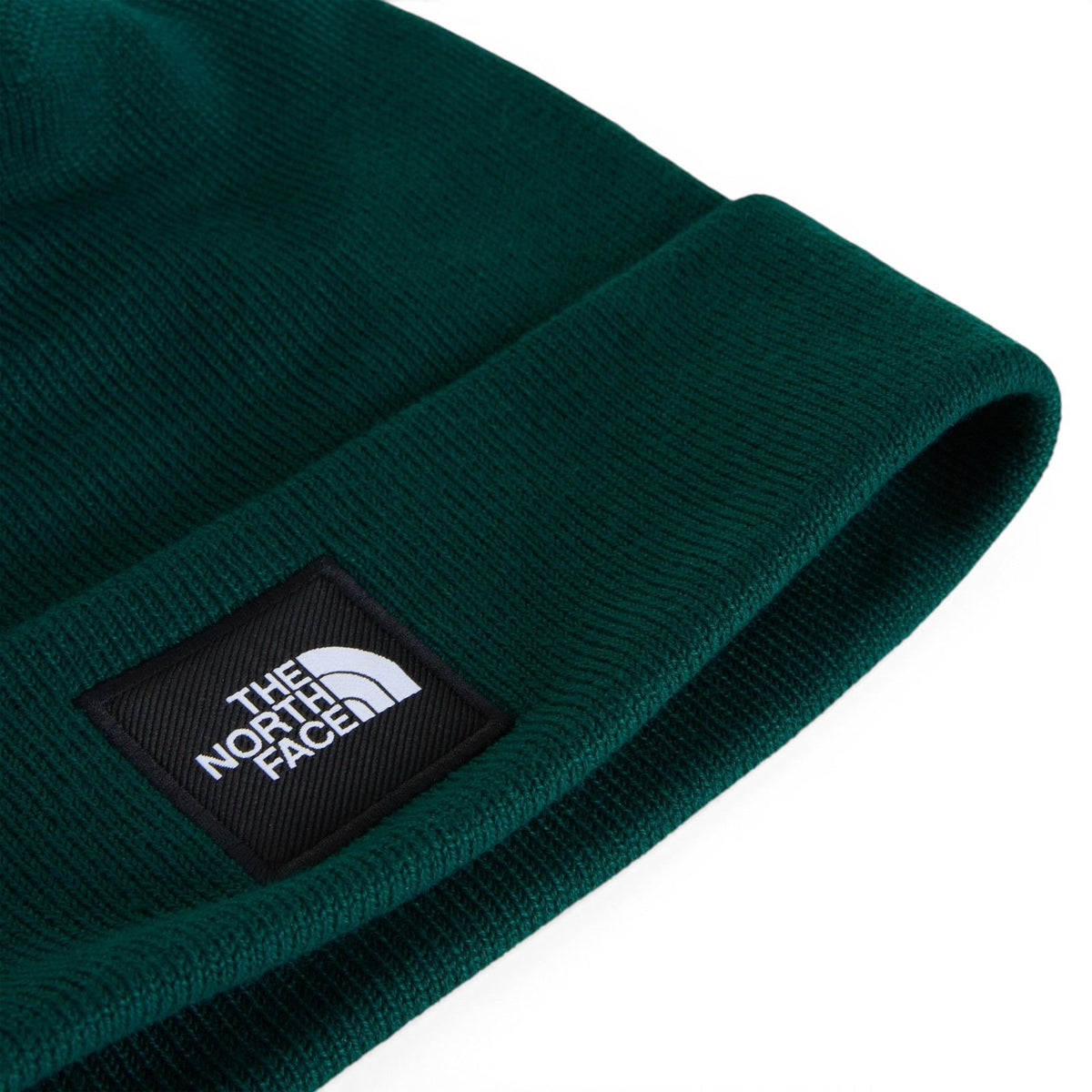 TNF Mens Dock Worker Recycled Beanie Grn