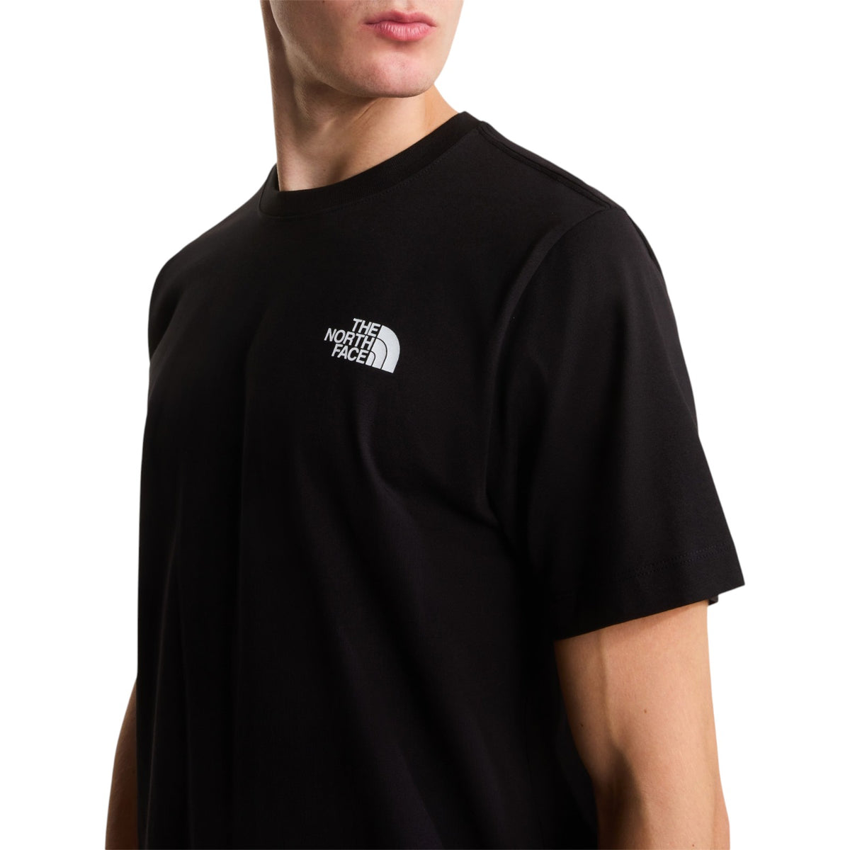 TNF Mens North Faces Denali Black