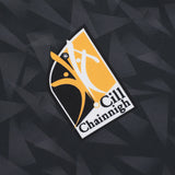O'Neills Kilkenny Train 26 Jersey  Grey