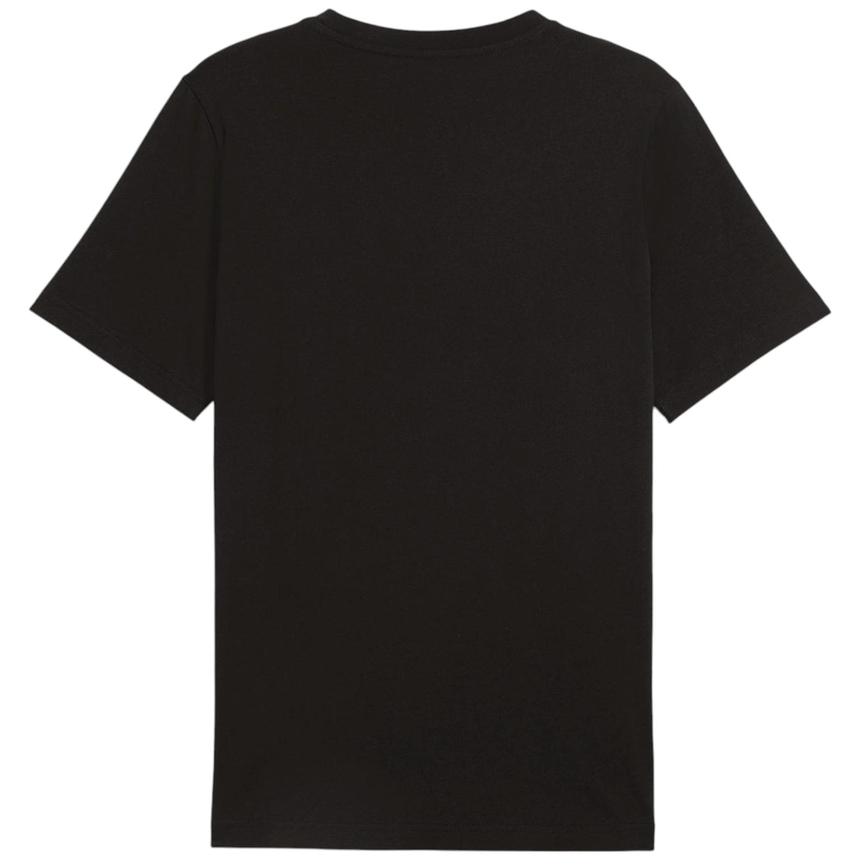 Puma Open Road Mountain Mens Short Sleeved Graphic T-Shirt