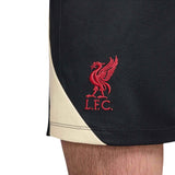 Nike Liverpool FC 4th Strike Mens Soccer Drill Shorts