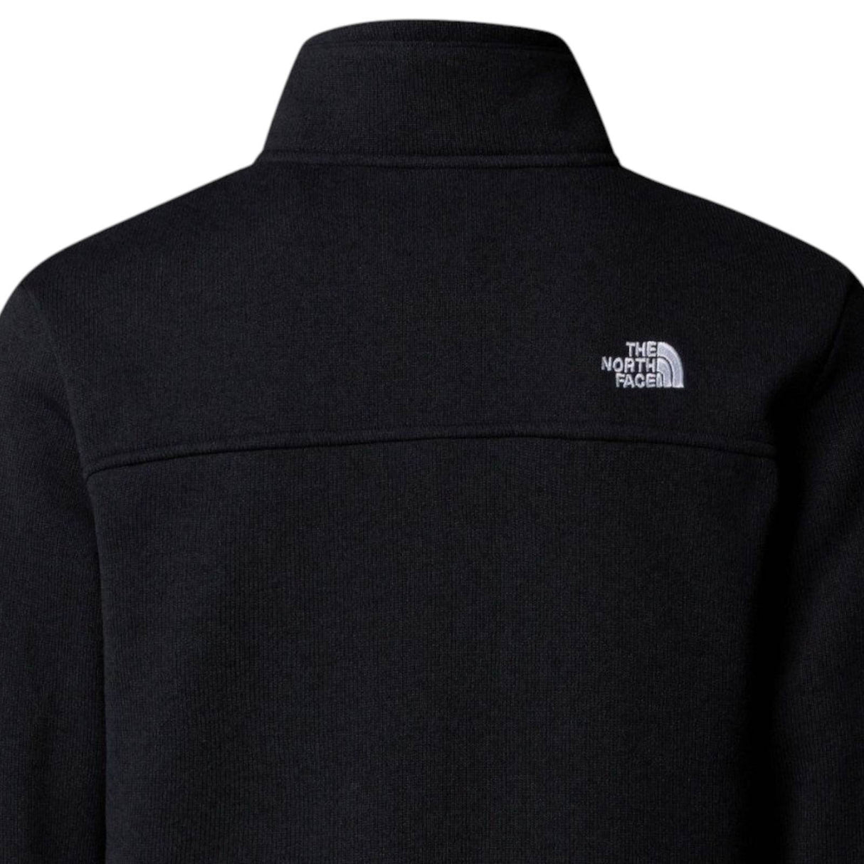 TNF M ANTISANA FLEECE Black