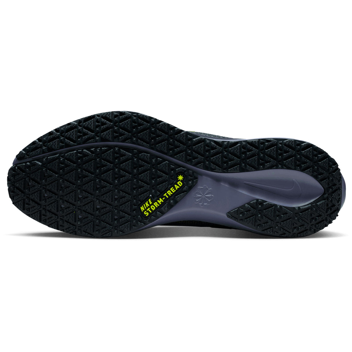 Nike Pegasus 41 GoreTex Mens Black