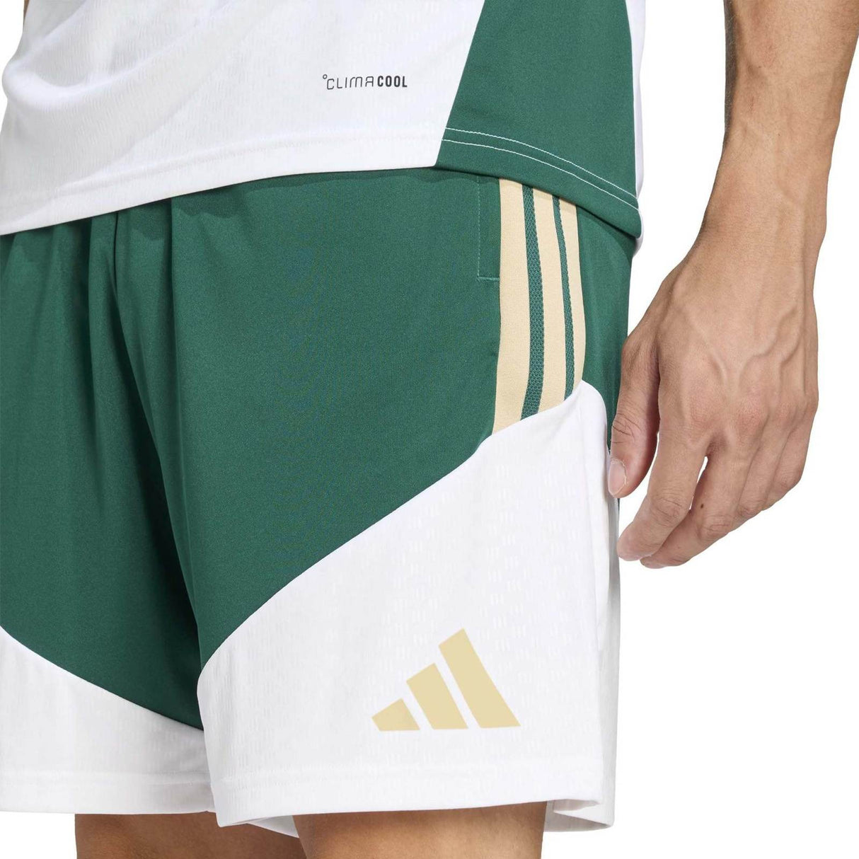 adidas Italy Football World Cup 2026 Adults Tiro Training Shorts