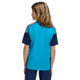 adidas Spain Football World Cup 2026 Kids Tiro Training Jersey