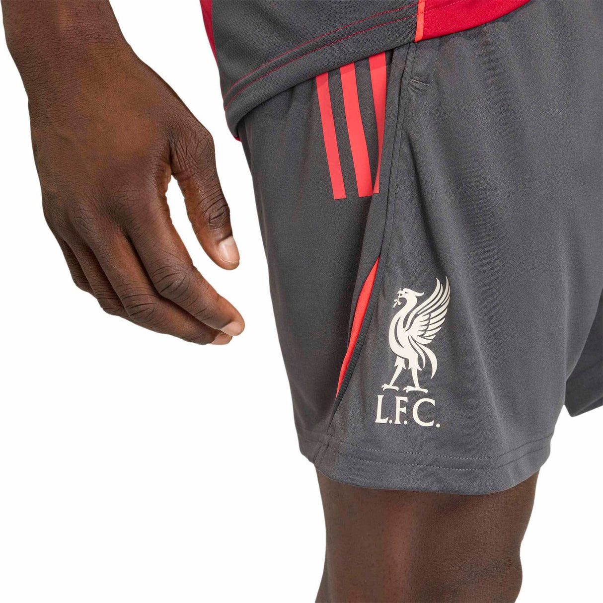 adidas  LFC 25 Train RF Shorts Black