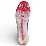 adidas Predator Elite FT FG Red