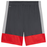 Puma Mens IndividualLIGA Trng Short Grey