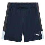Puma Mens IndividualLIGA Trng Short Grey