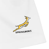 NIKE SPRINGBOKS KIDS KIT HOME Green